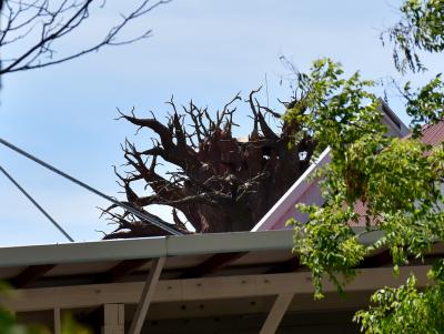 Прикрепленное изображение: 154.JPG